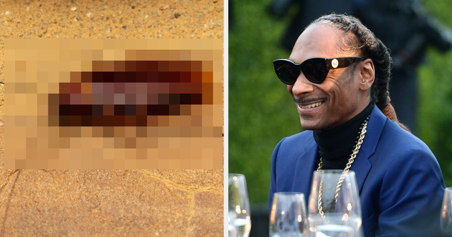 Snoop Dogg Revealed He Once Had A Pet Cockroach Called “The Gooch