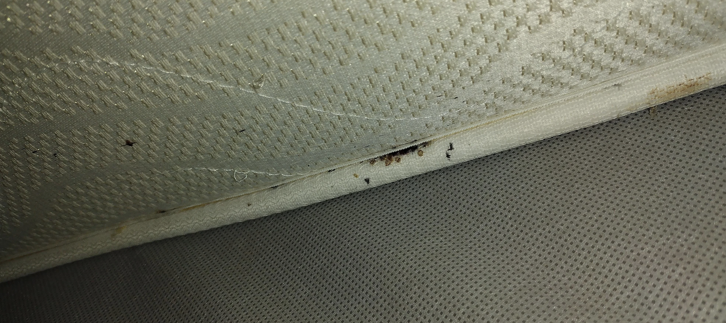 The bottom seam of a mattress, with about a dozen tiny black dots embedded in the seam