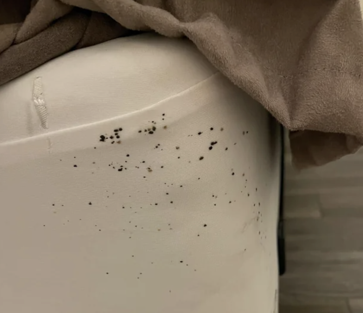 Here's How To Properly Check Hotels And Airbnbs For Bedbugs