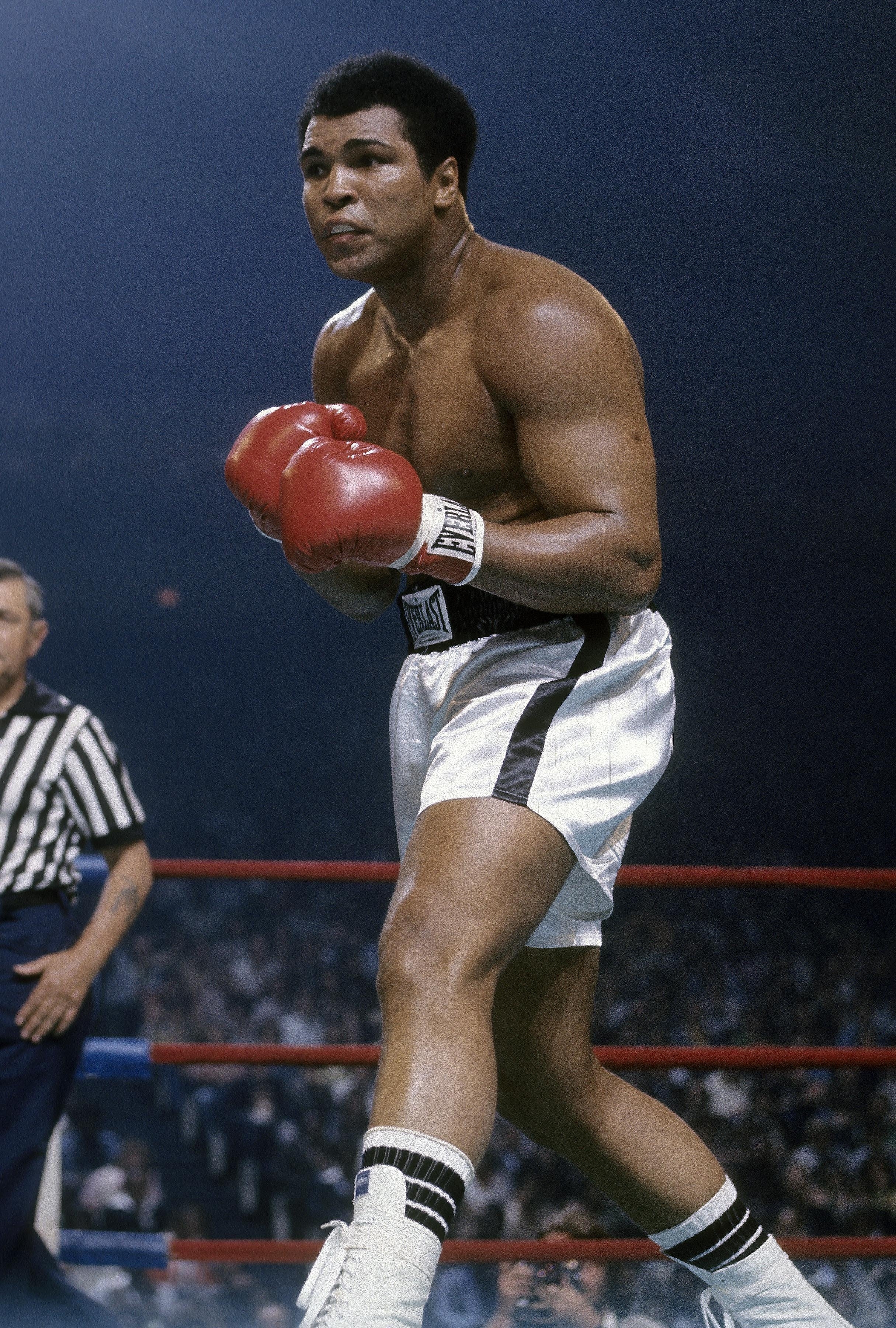 Muhammad Ali in the ring