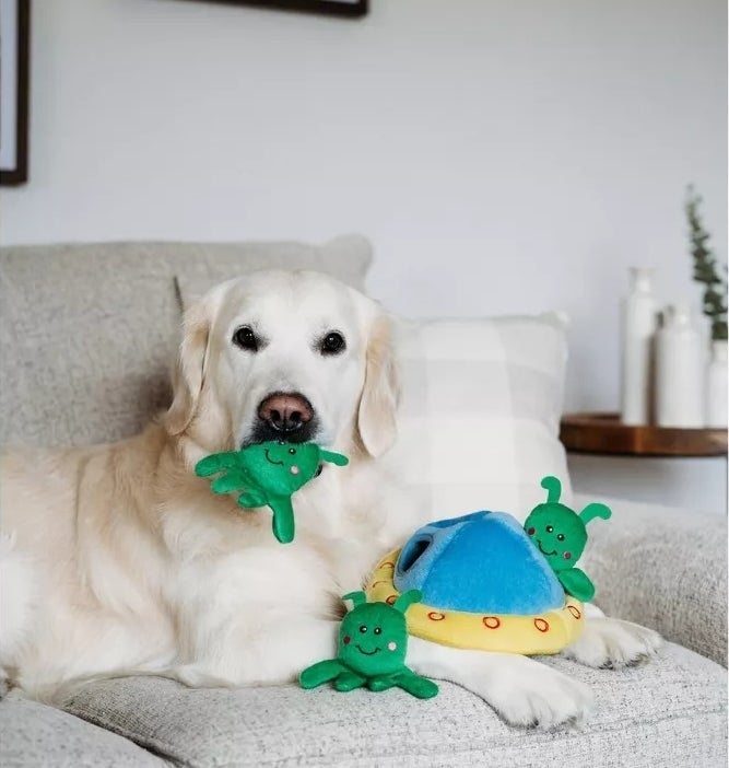 a dog playing with the toy on a couch