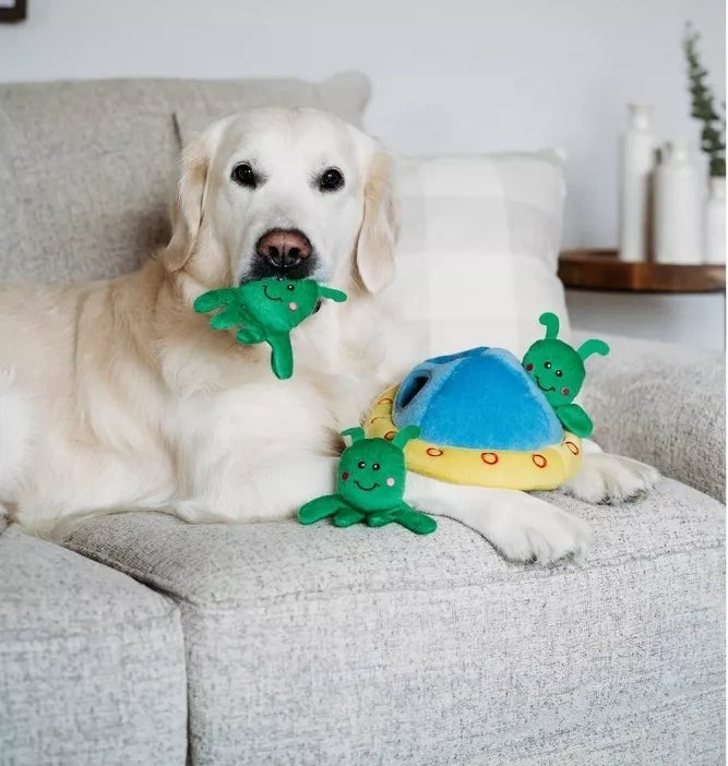 a dog playing with the toy on a couch