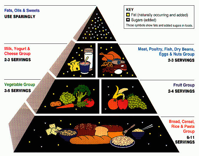 The food pyramid, showing &quot;fats, oils, and sweets&quot; at the top (use sparingly), then dairy (2–3 servings), protein (2–3 servings), fruit (2–4 servings), veggies (3–5 servings), and bread, cereal, rice, and pasta at the bottom (6–11 servings)