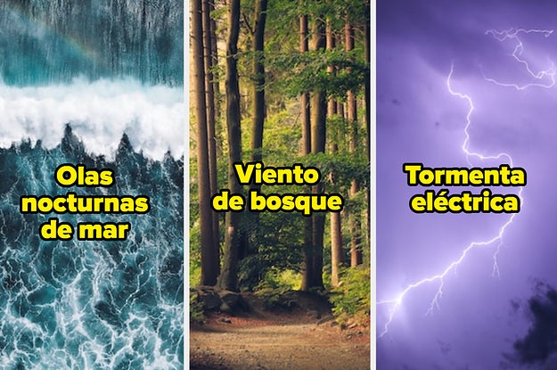 Test para conocer el olor de tu corazón