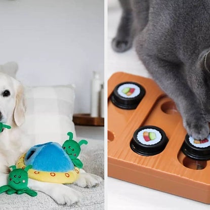 25 Things From Target To Keep Your Pets Occupied Indoors When It's Too Hot To Go Outside