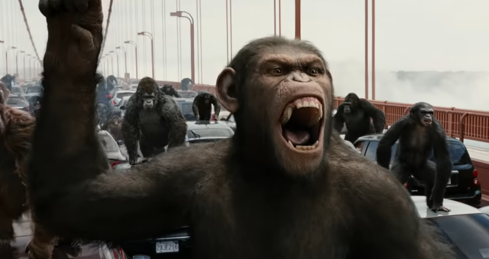 apes walking over cars on a bridge