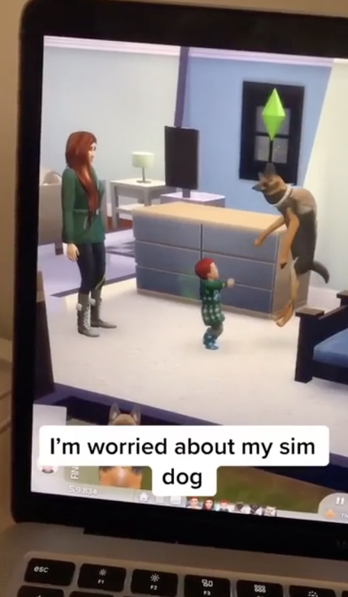 Sims dog looks like it's hanging with caption, "I'm worried about my sim dog"