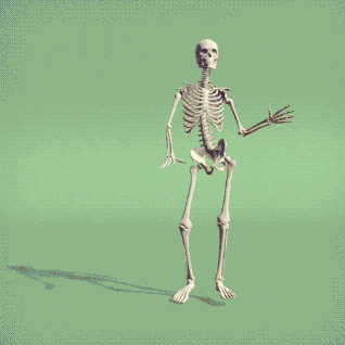 GIF of a skeleton dancing