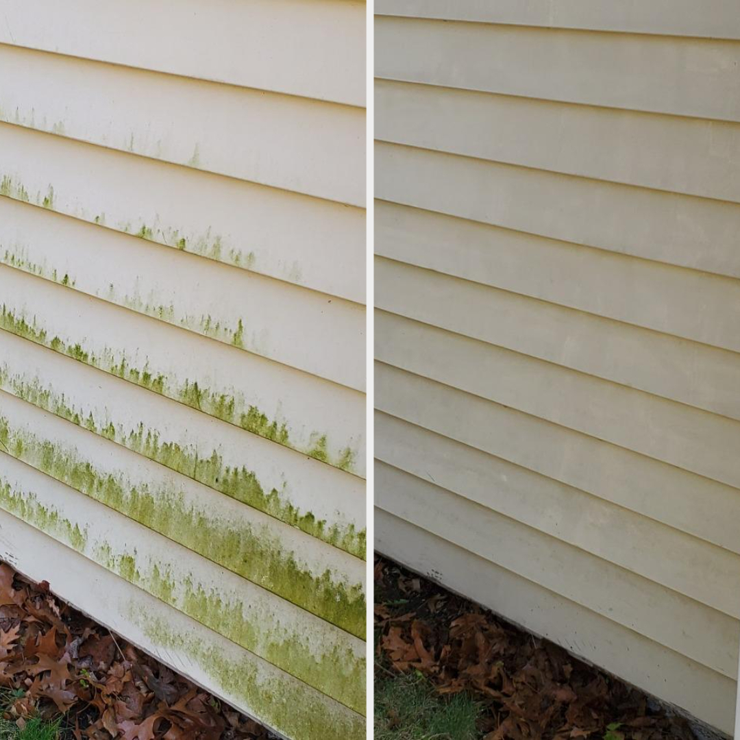 A before/after showing green gunk being removed from the side of a reviewer&#x27;s house