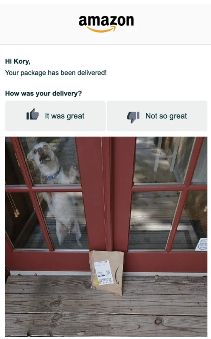 A dog in a window where a package was dropped off
