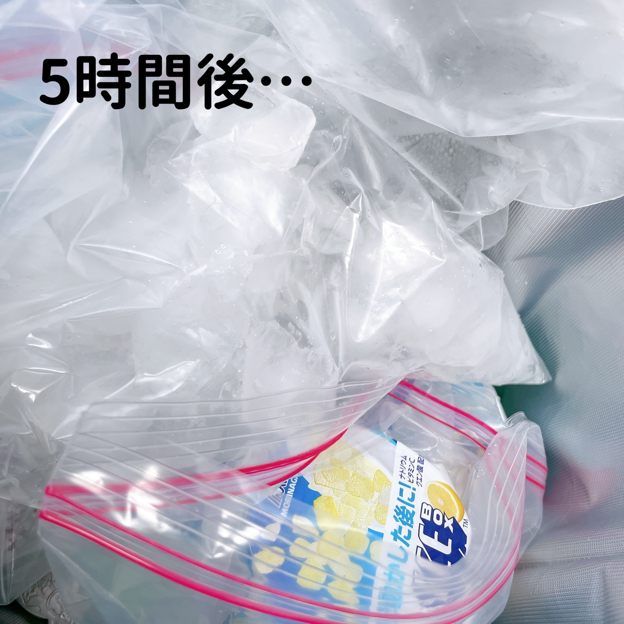 無印良品のおすすめバッグ「保冷バッグ」