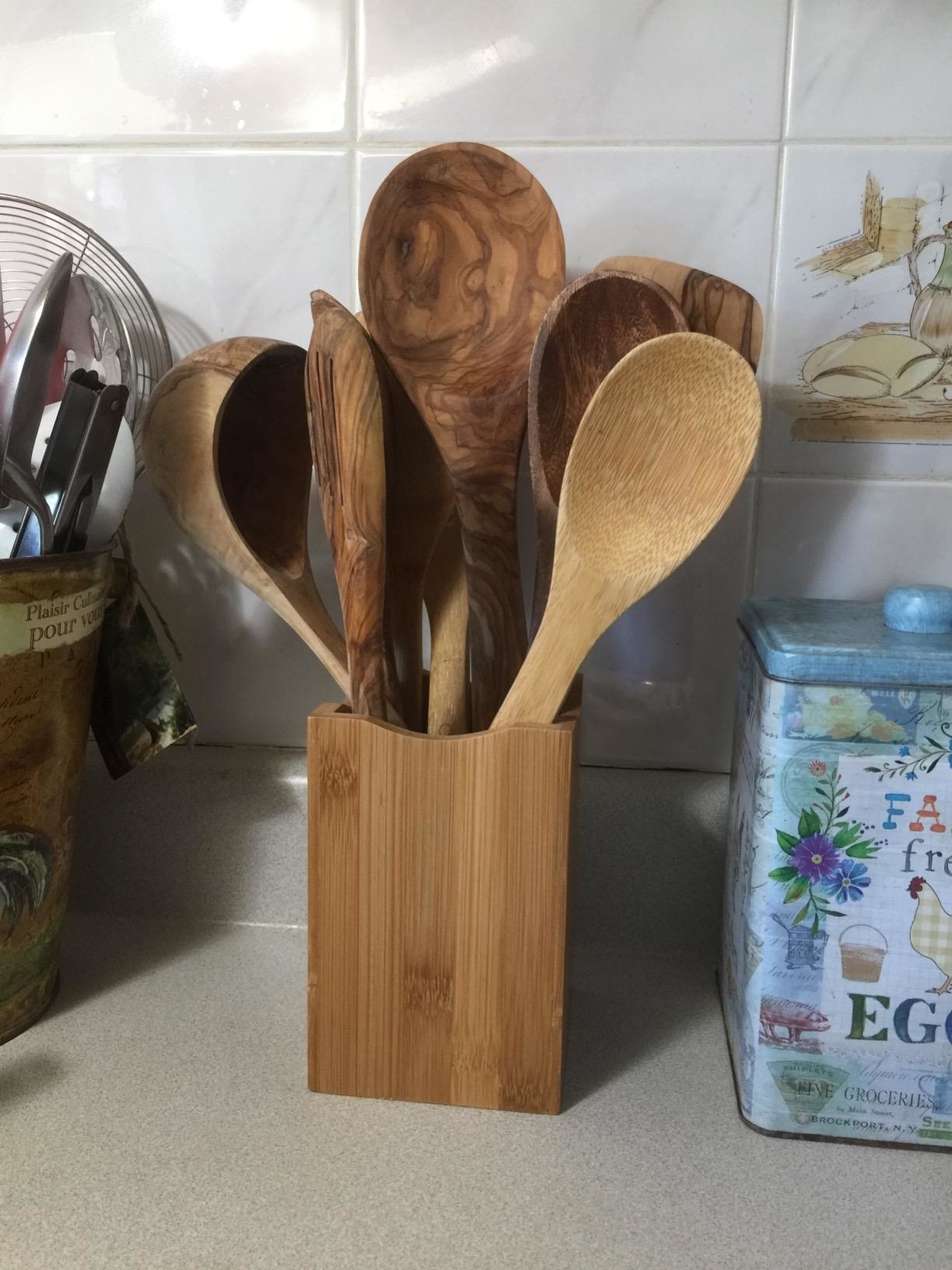 Reviewer&#x27;s photo of the utensil holder in use