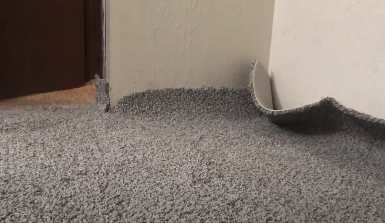 Carpet stretched up to the walls and cut to fit