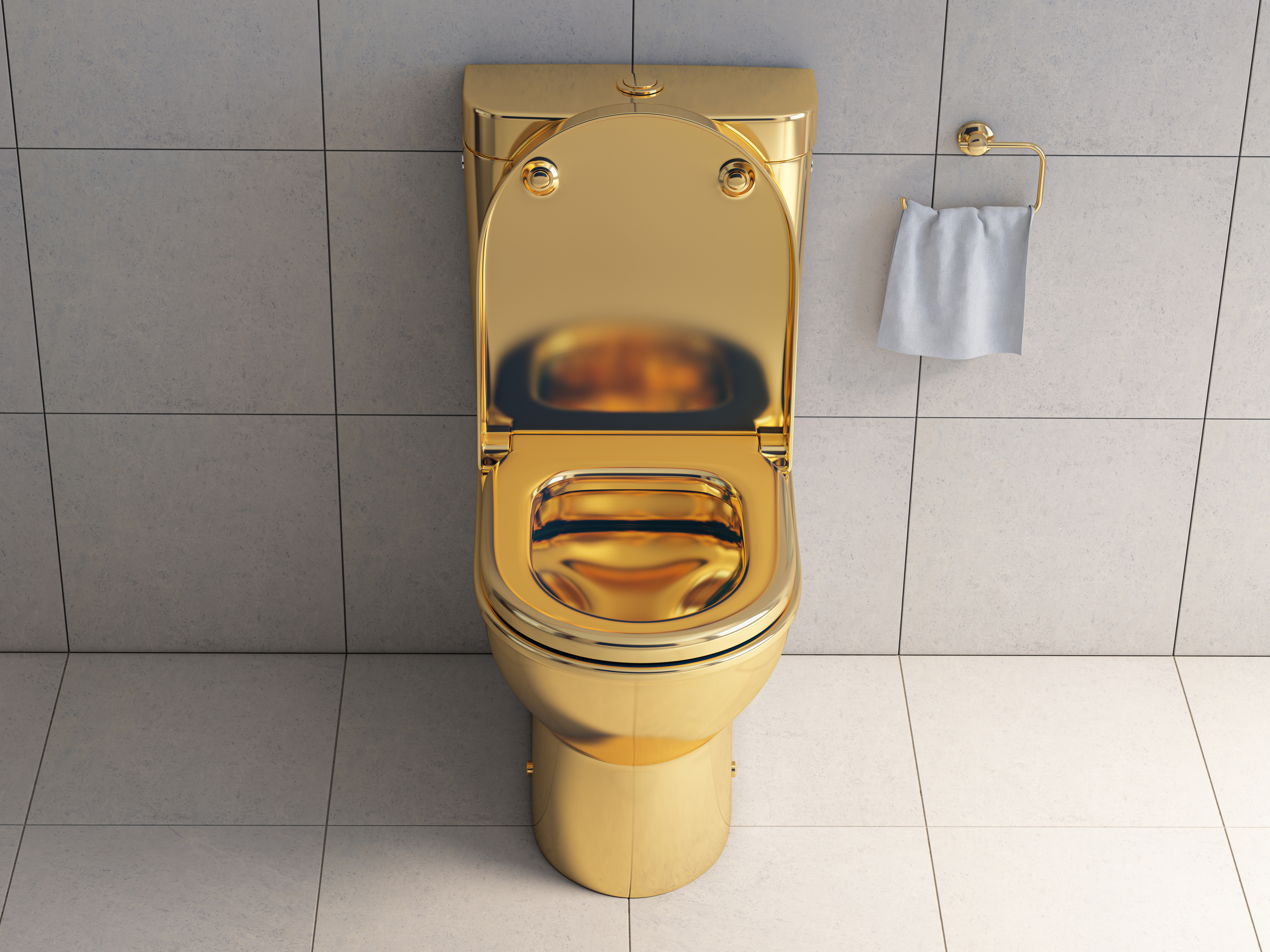 a gold toilet
