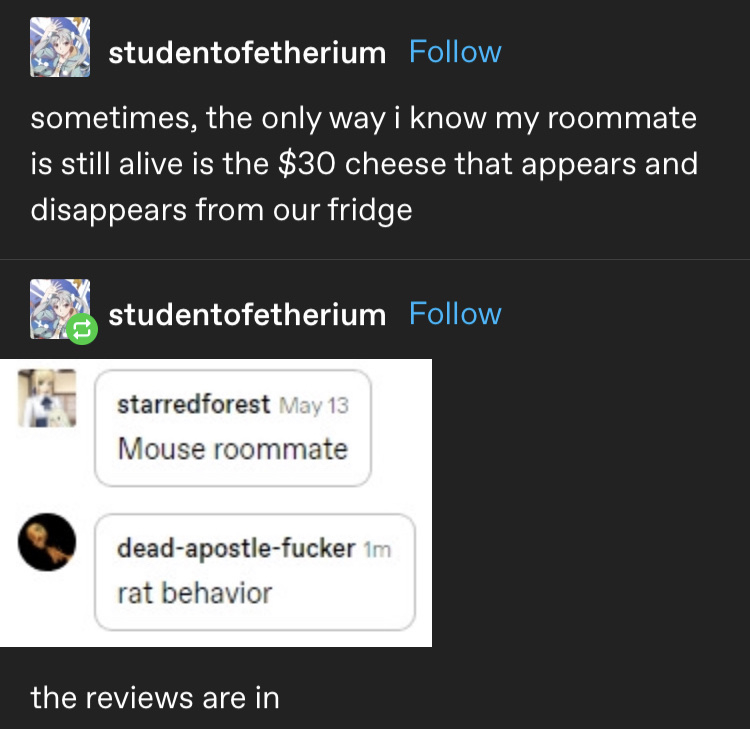 &quot;Sometimes the only way i know my roommate is still alive is the $30 cheese that appears and disappears from our fridge&quot; &quot;Mouse roommate&quot; &quot;rat behavior&quot;