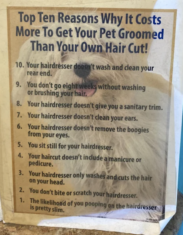 &quot;Top Ten Reasons Why It Costs More To Get Your Pet Groomed&quot;