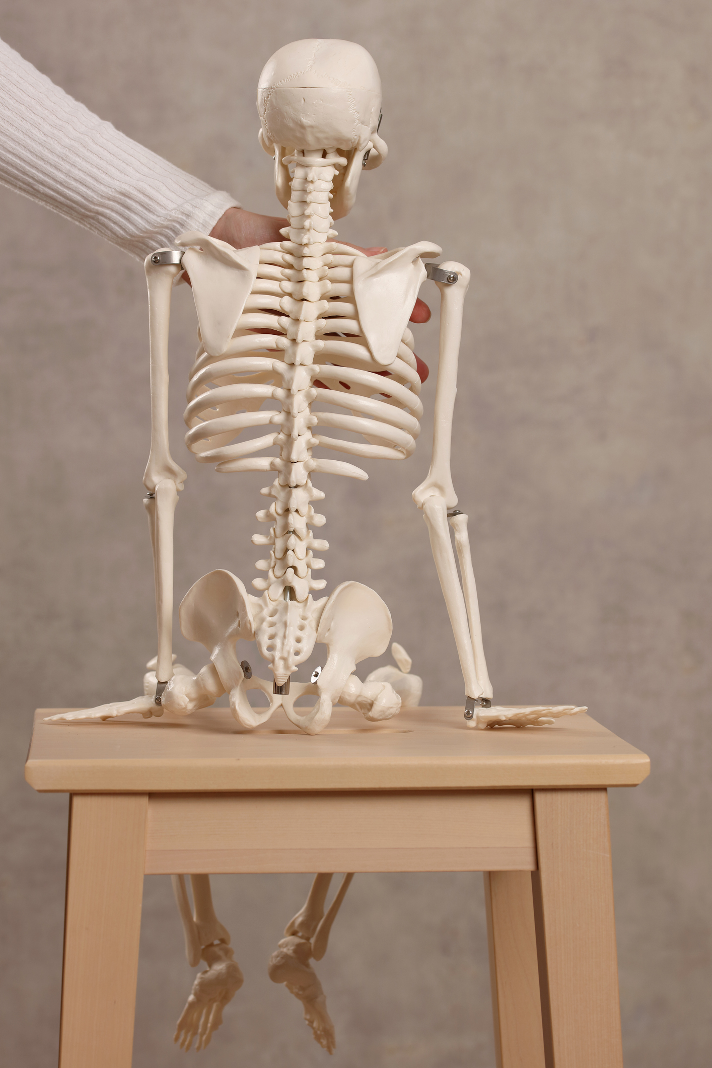 A skeleton on a stool