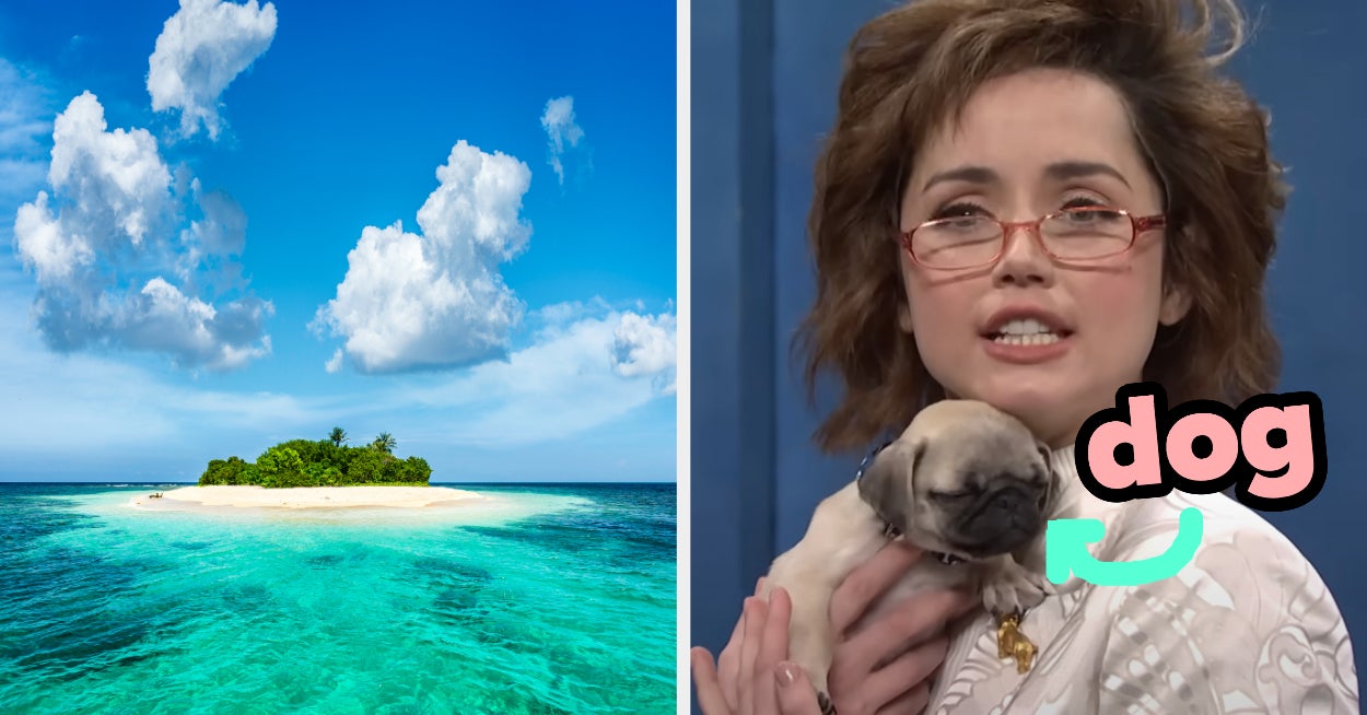 plan-vacation-see-what-pet-you-should-get-quiz