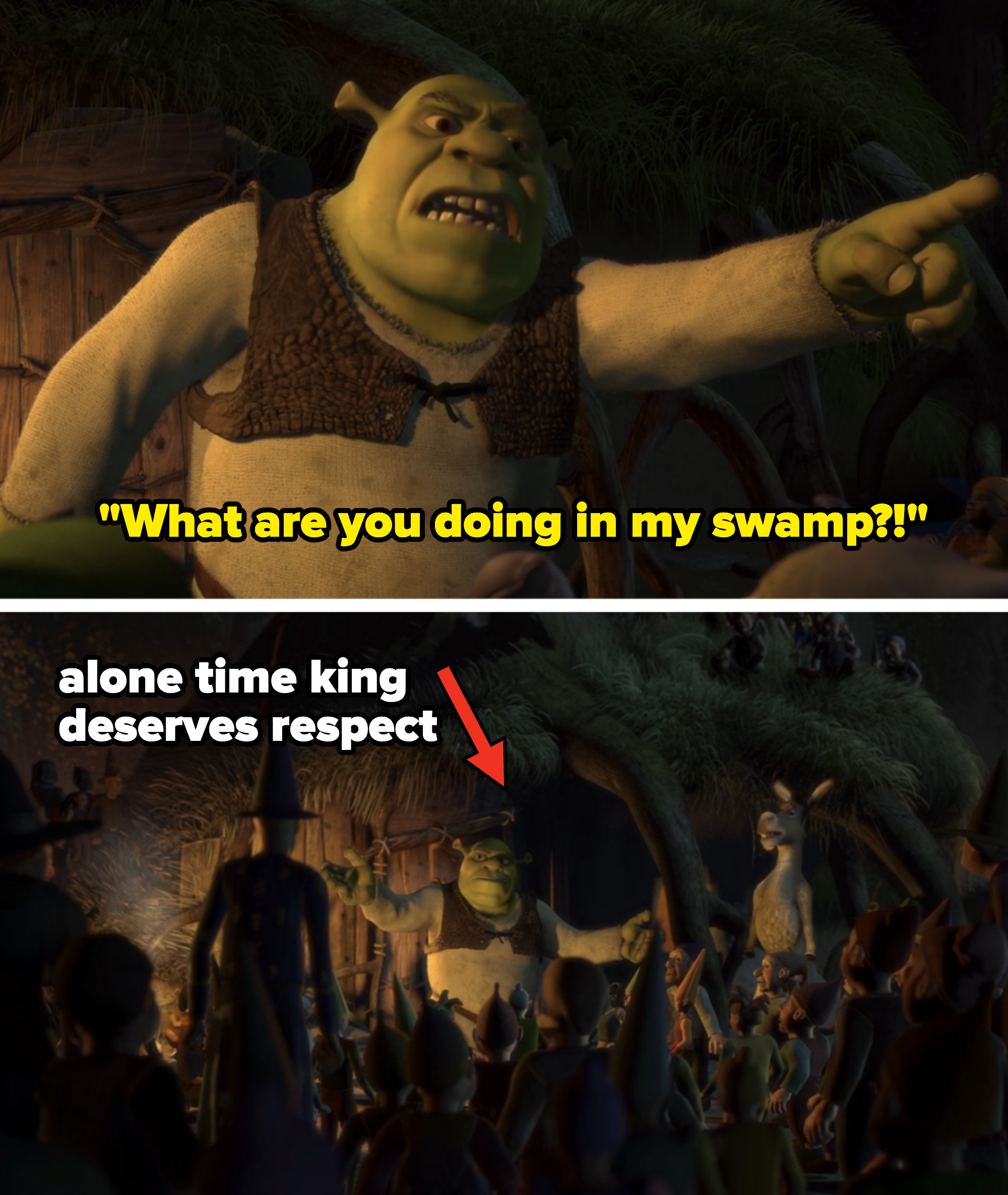 shrek asking what a crowd is doing in his swamp