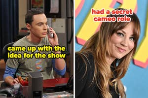 jim parsons with the text came up with the idea for the show and kaley cuoco with the text did some uncredited voicework