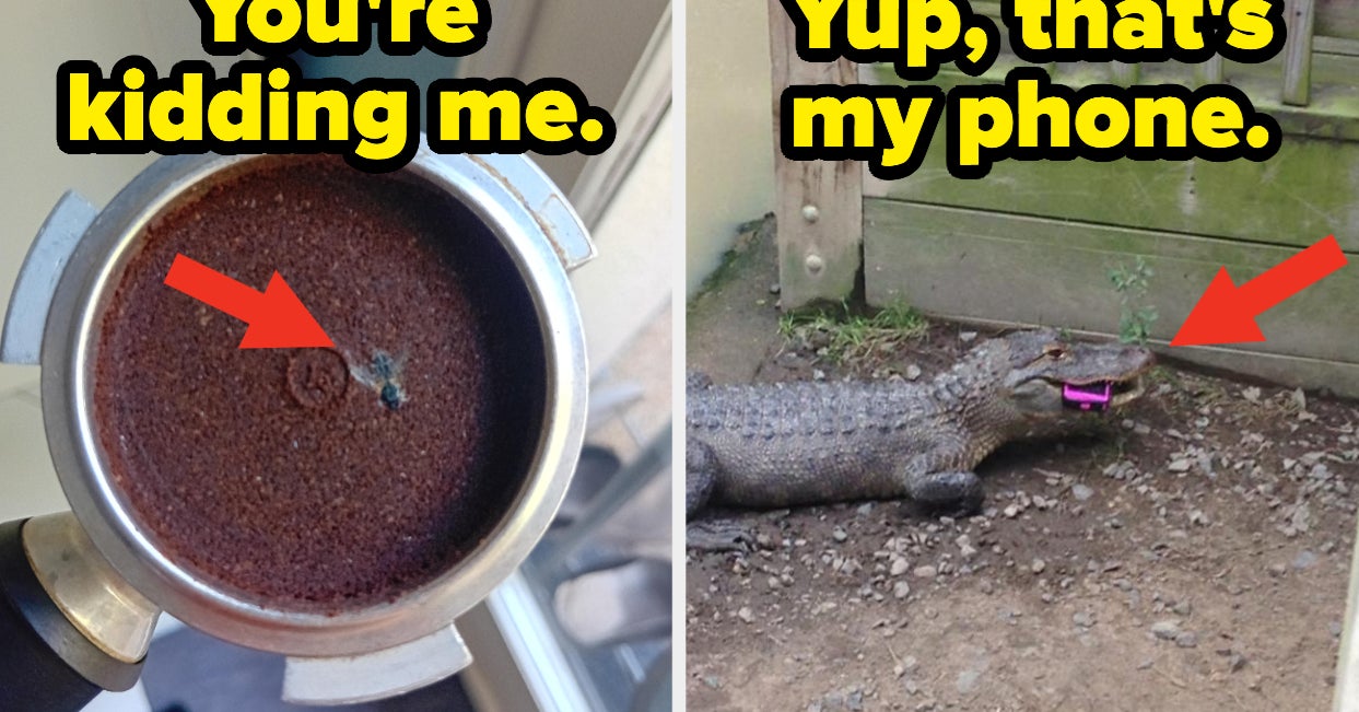 19 People Who I Know For A FACT Regret Literally Every Single Decision ...
