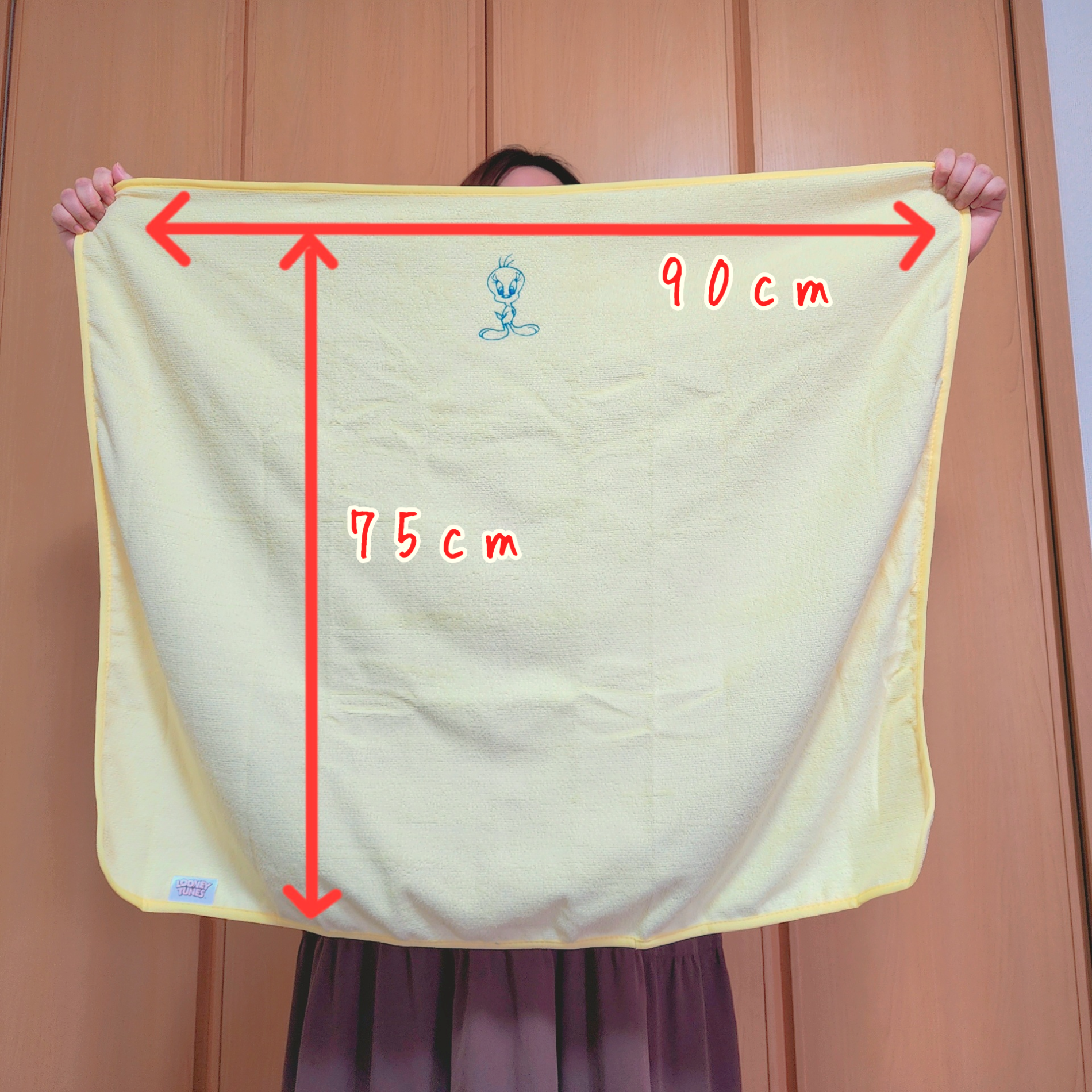 Tully's Coffee(タリーズコーヒー)のおすすめ雑貨「シルベスターケース付きマルチブランケット」