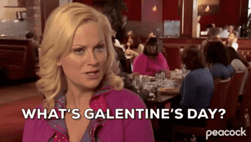Leslie Knope saying &quot;What&#x27;s Galentine&#x27;s Day? It&#x27;s only the best day of the year&quot;