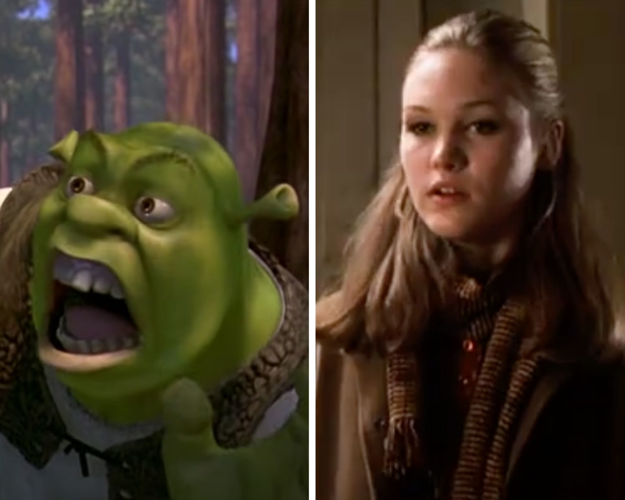 Mike Myers Shrek character, and Julia Stiles in Save the Last Dance