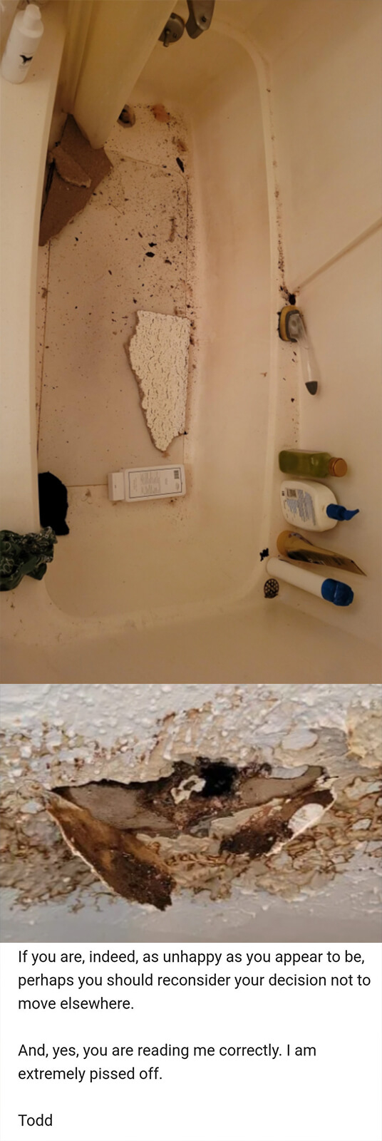 in response to photos of the mold and ceiling falling off the landlord says, perhaps you should reconsider your decision not to move elsewhere