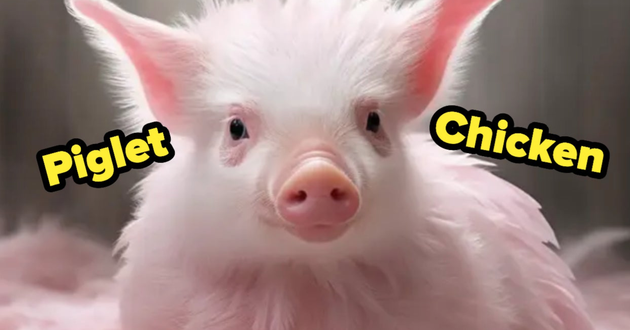 AI Animal Combinations Trivia Quiz
