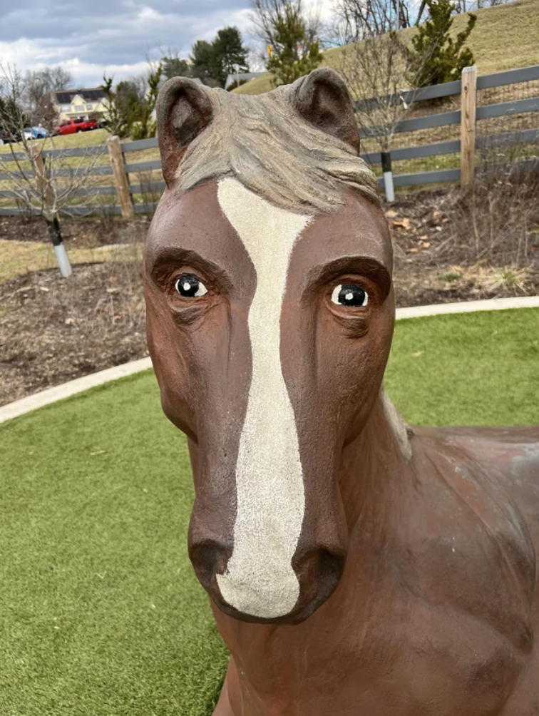 A horse with human eyes