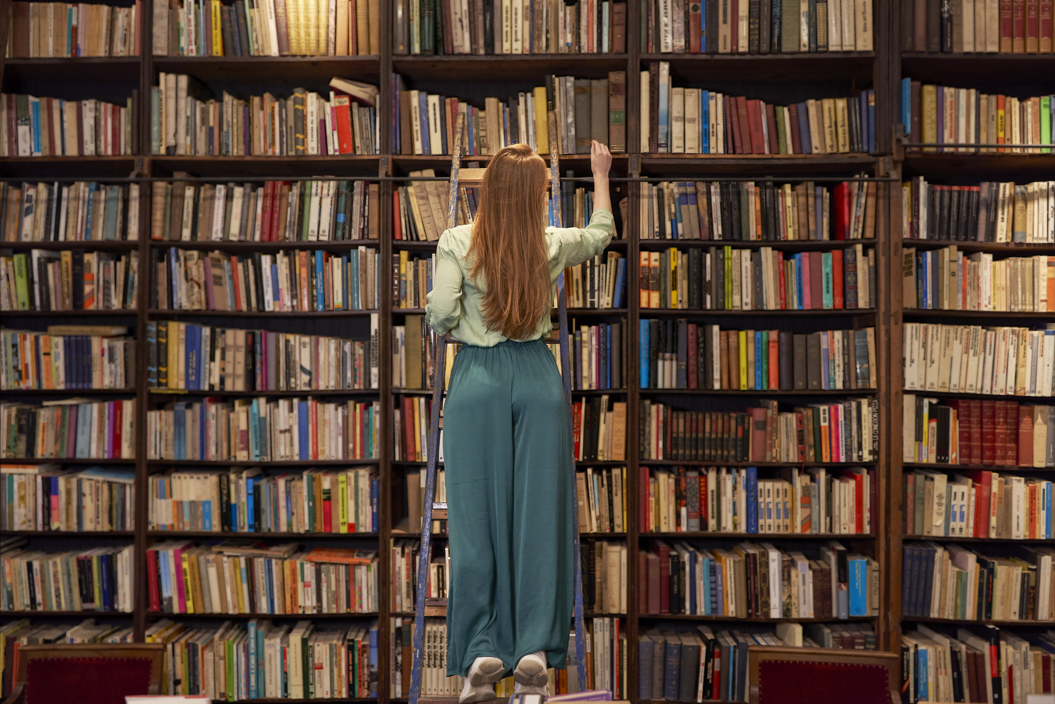 young woman on a ladder in a library