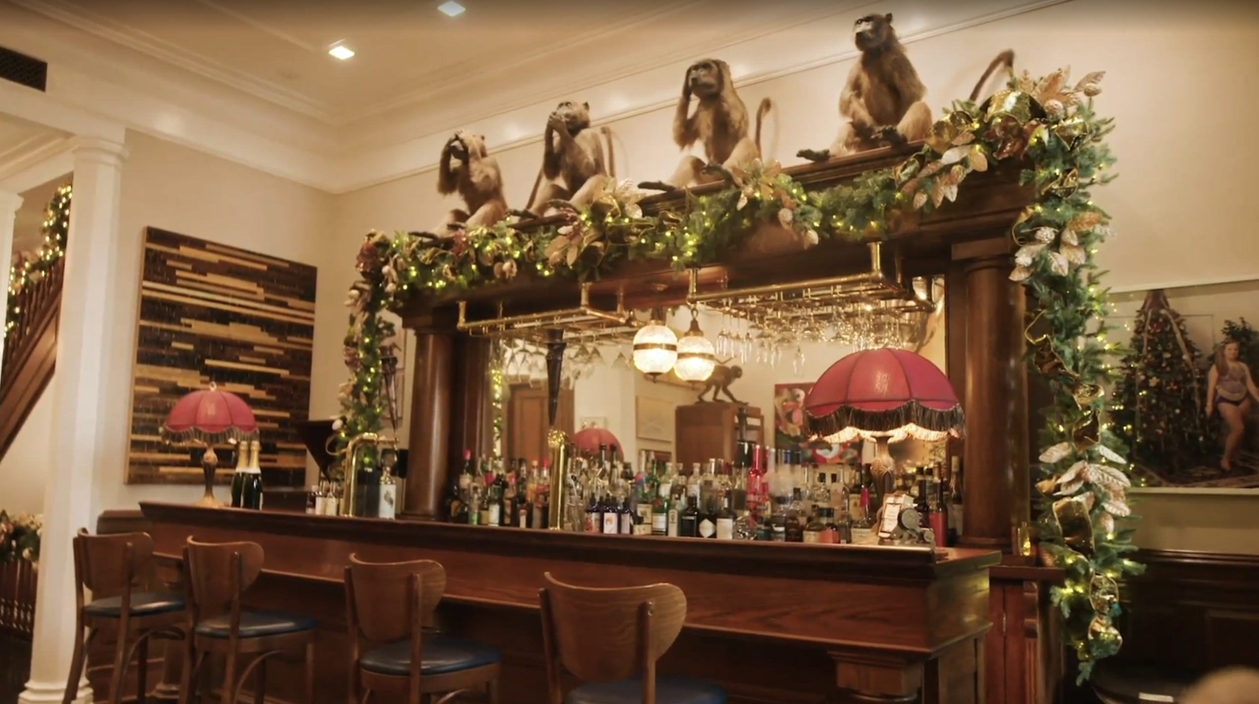 The monkey bar which features four taxidermied monkeys