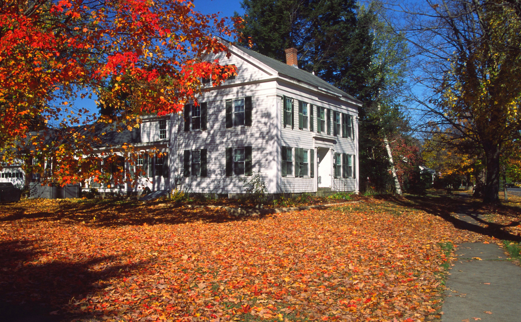 A white house with autumn leaves on the lawn