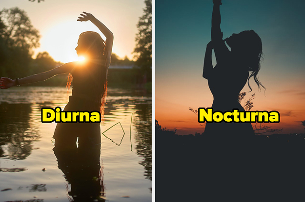 Elige entre un montón de colores y te diré si eres diurna o nocturna