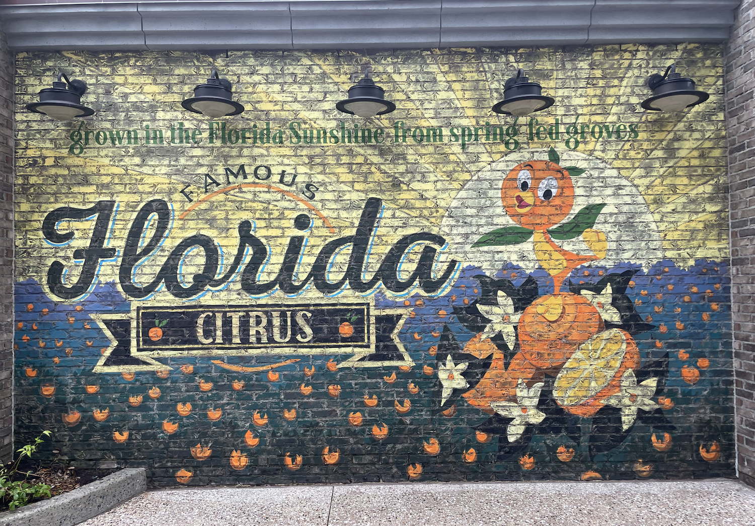 &quot;Famous Florida Citrus&quot;