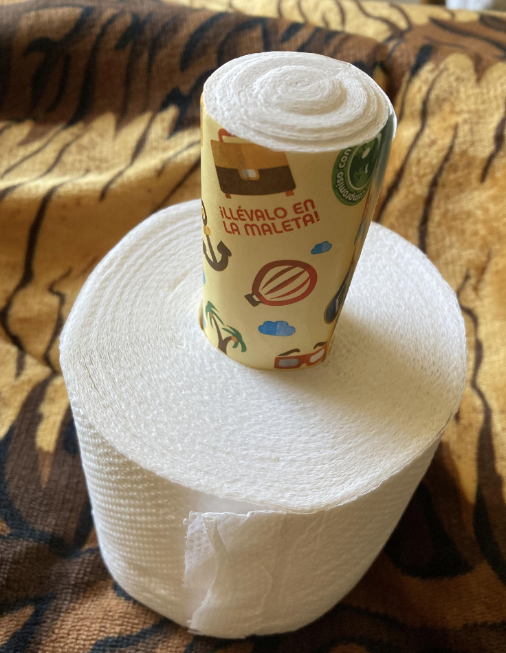 A small toilet paper roll in a bigger toilet paper roll