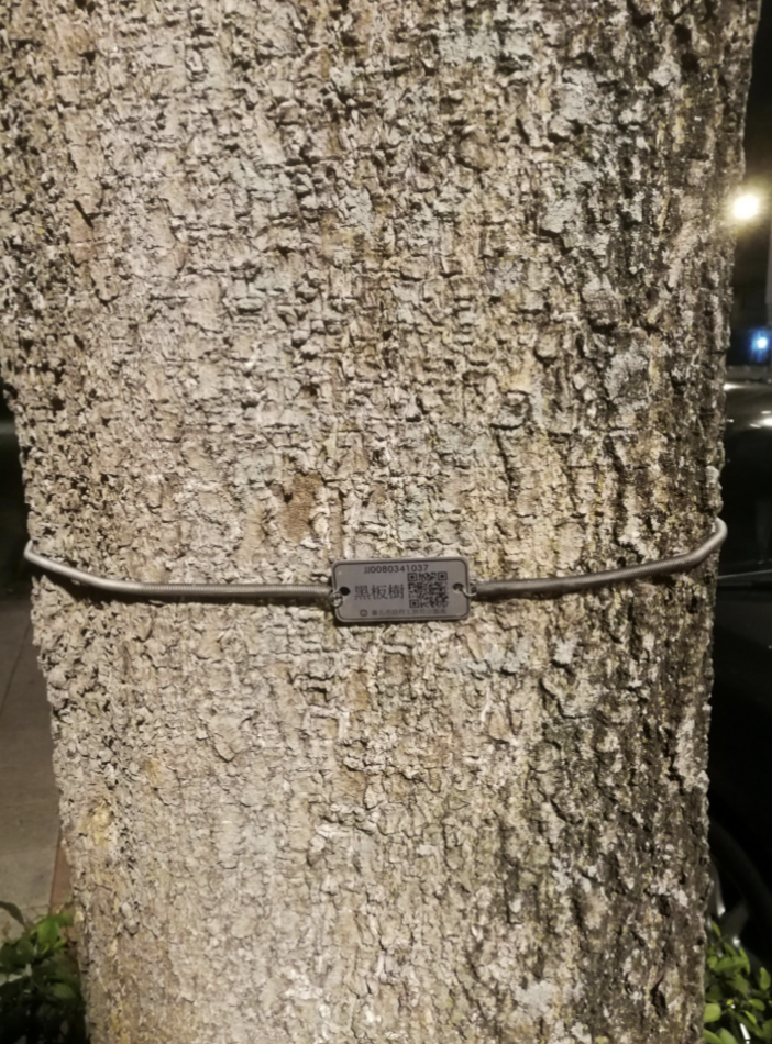 A QR code on a tree