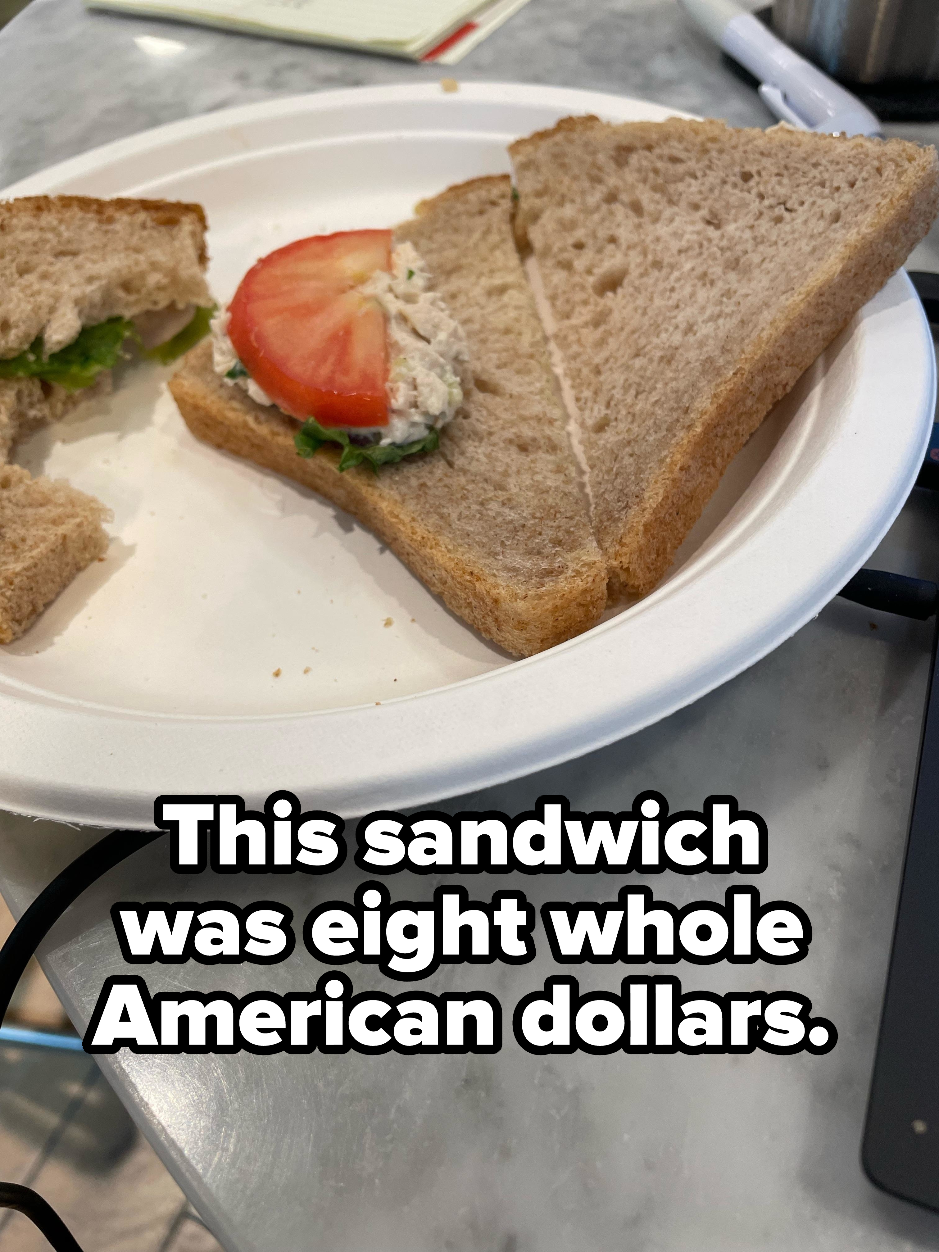 &quot;This sandwich was eight whole American dollars.&quot;