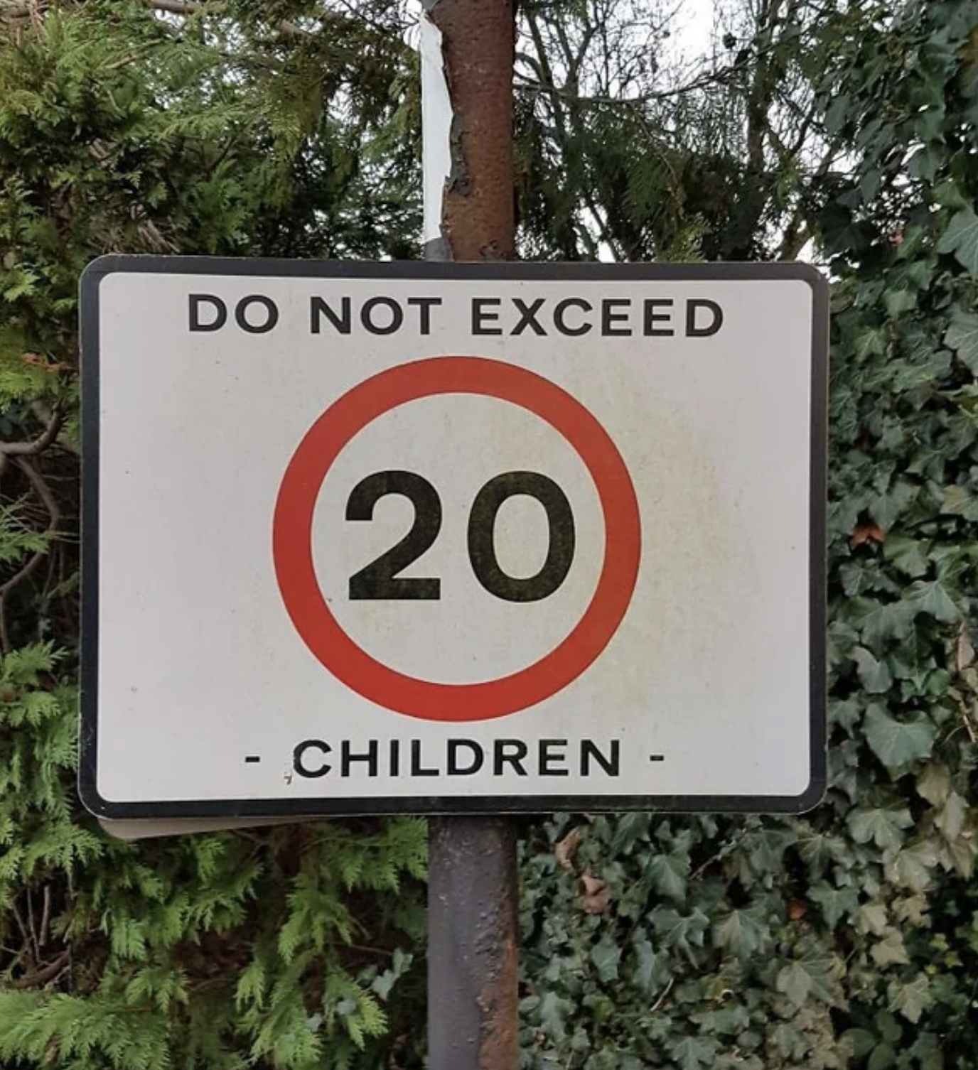 &quot;Do not exceed 20 children&quot;