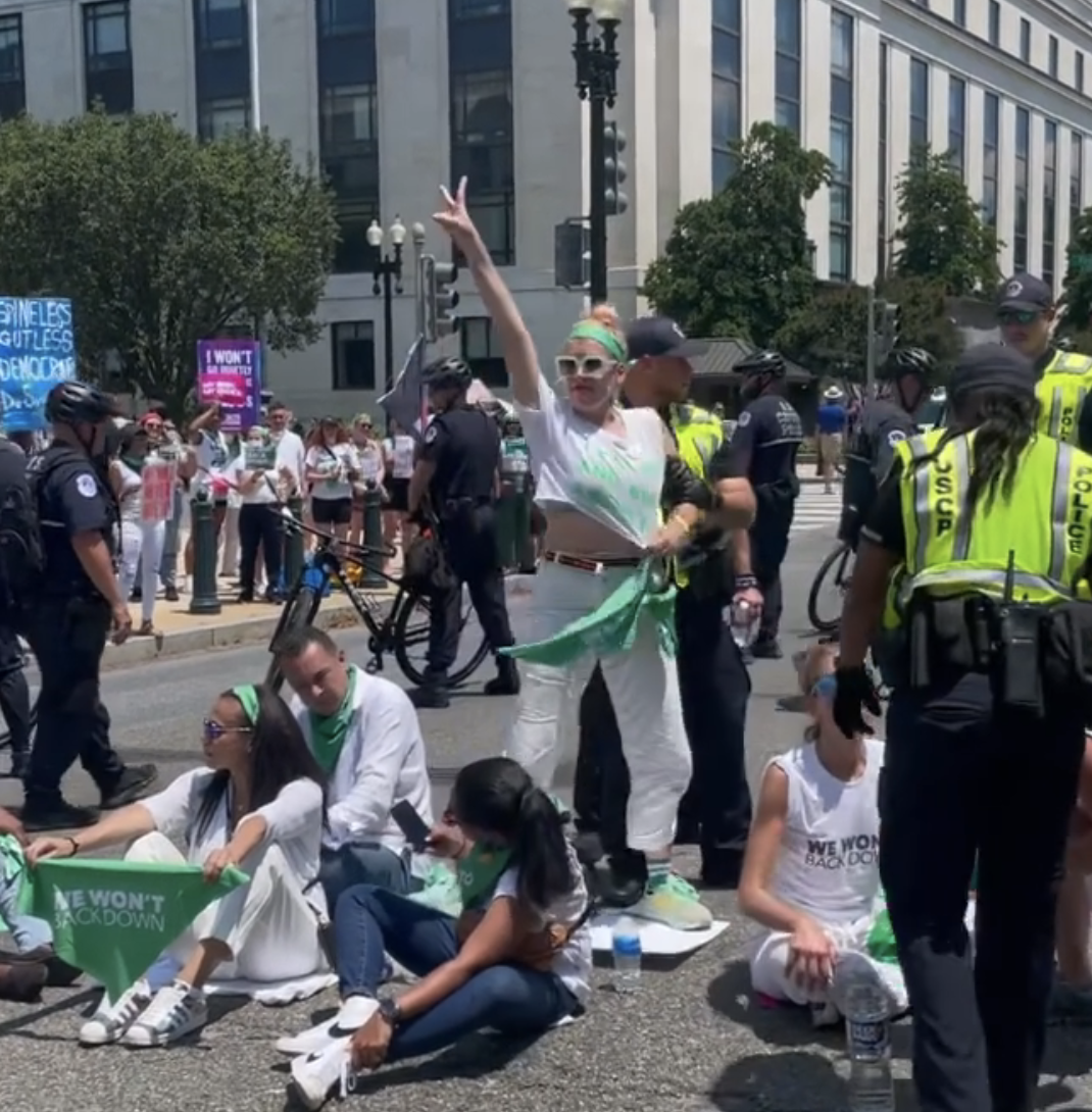 15 Celebs Arrested While Protesting