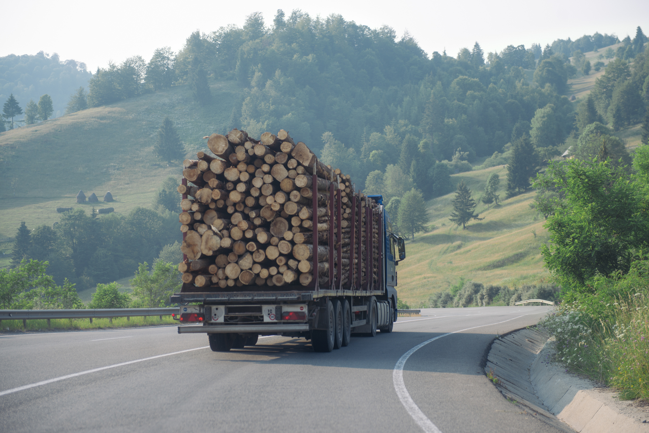 A logger truck on a highway