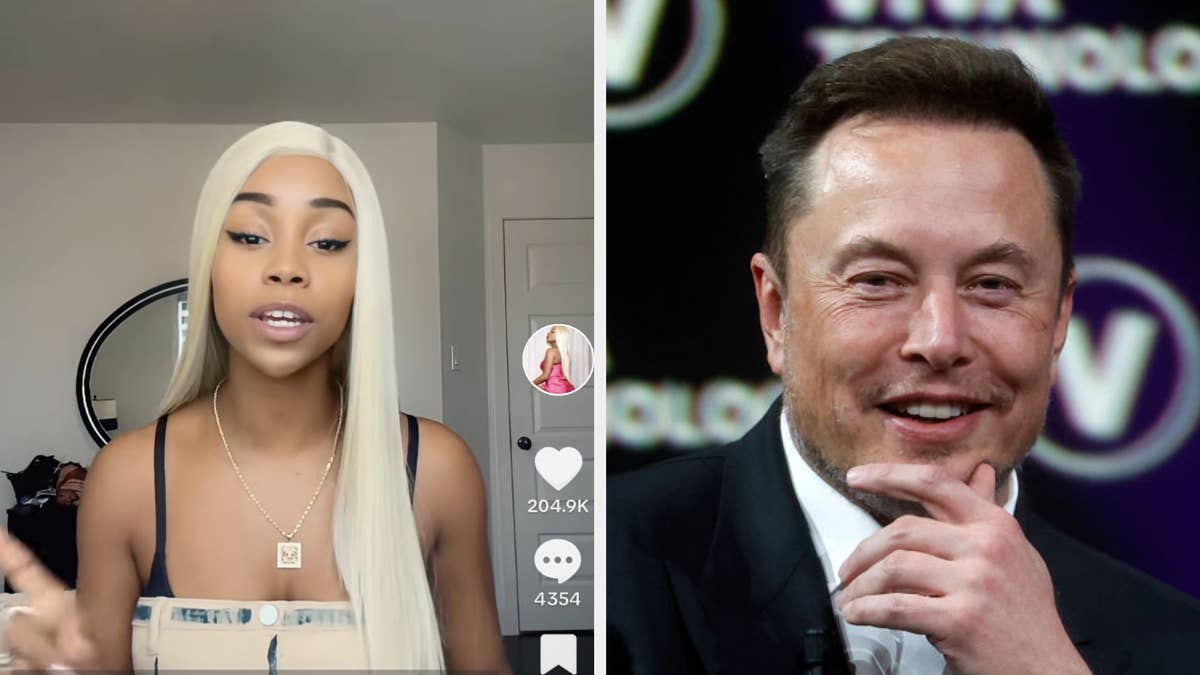 The TikTok star made her pitch after Elon Musk tweeted about her.