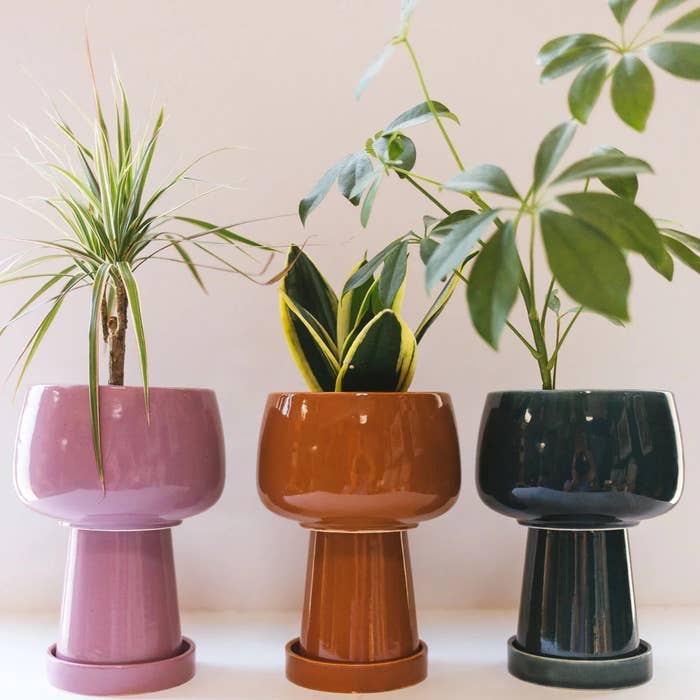 the tall planter in lavender, brown, and dark teal
