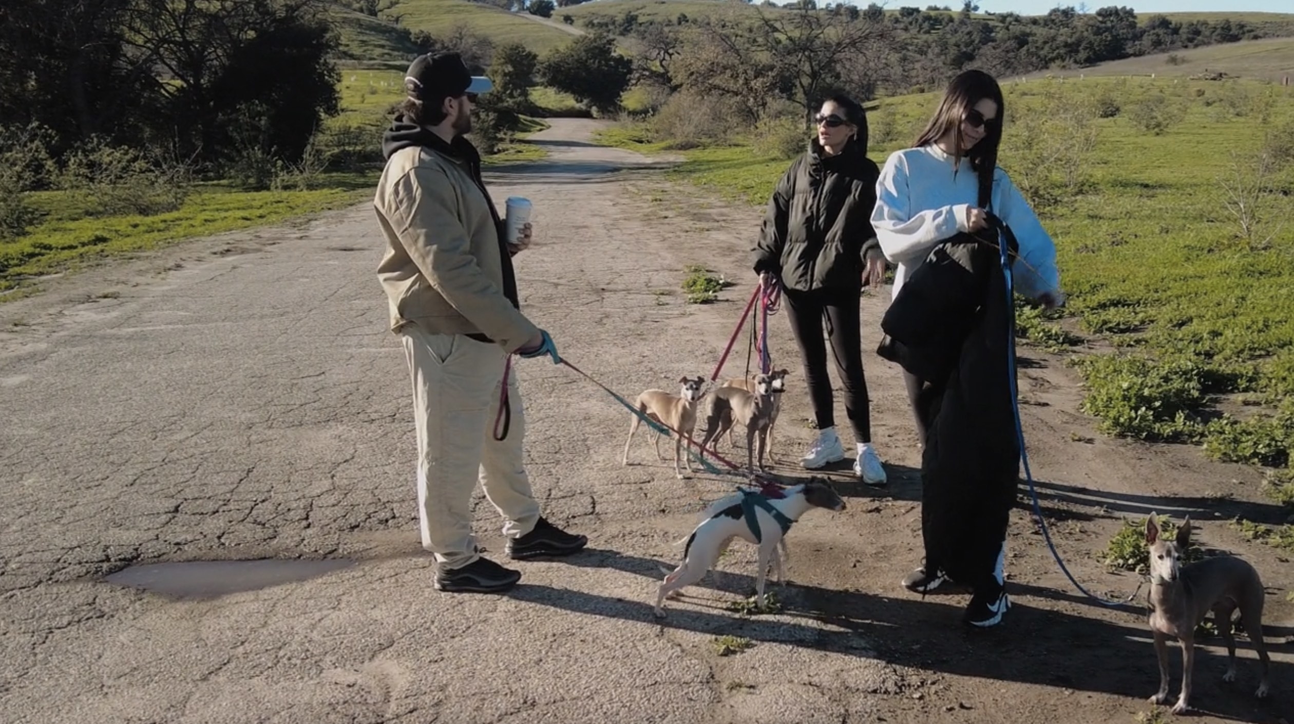 kylie kendall and scott walking their dogs