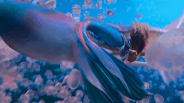 Ariel swimming through jellyfish