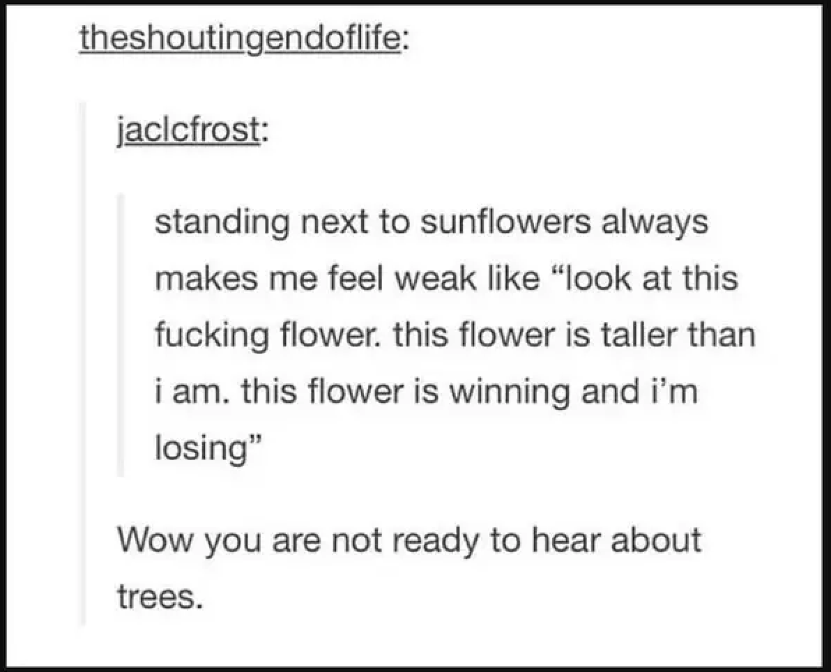 &quot;Wow you are not ready to hear about trees.&quot;