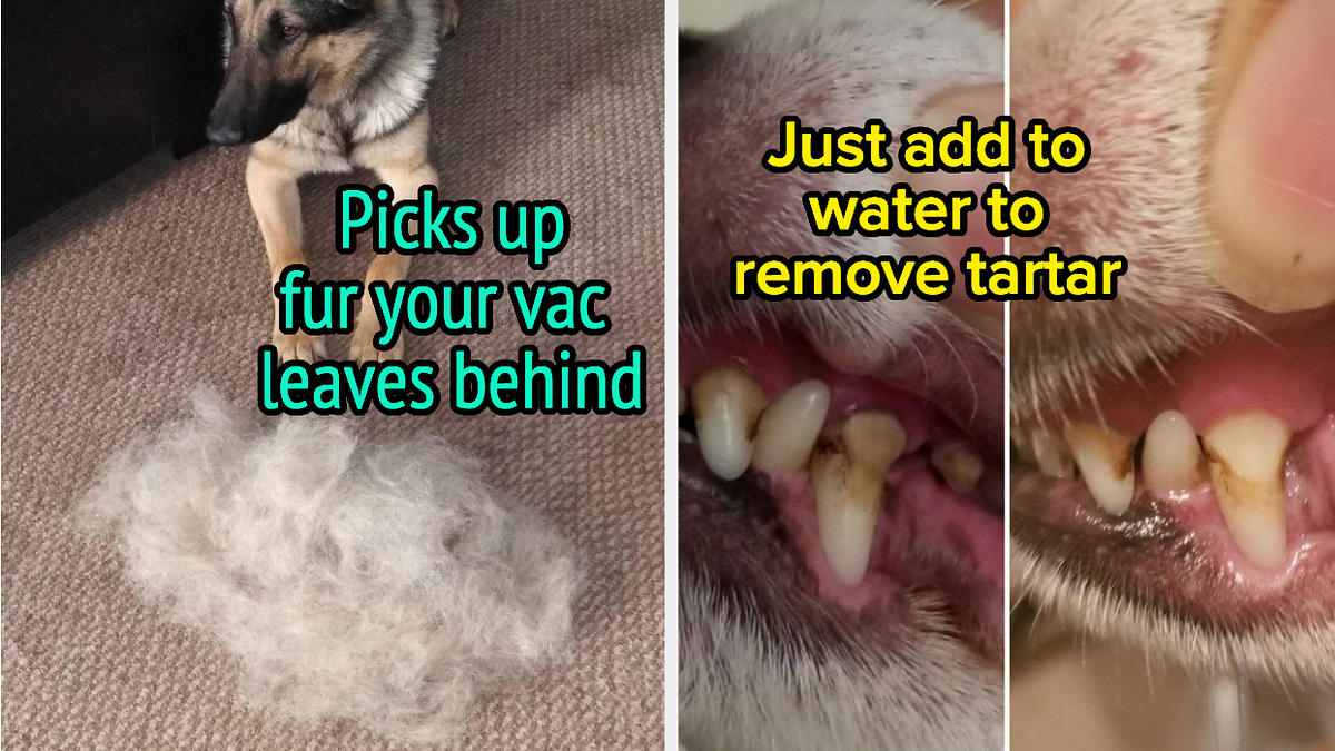 17 Pet Products With Gross But Convincing Review Photos