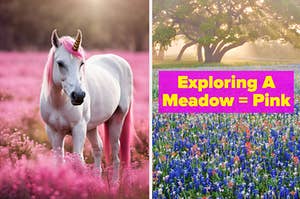 A pink maned unicorn and a meadow.