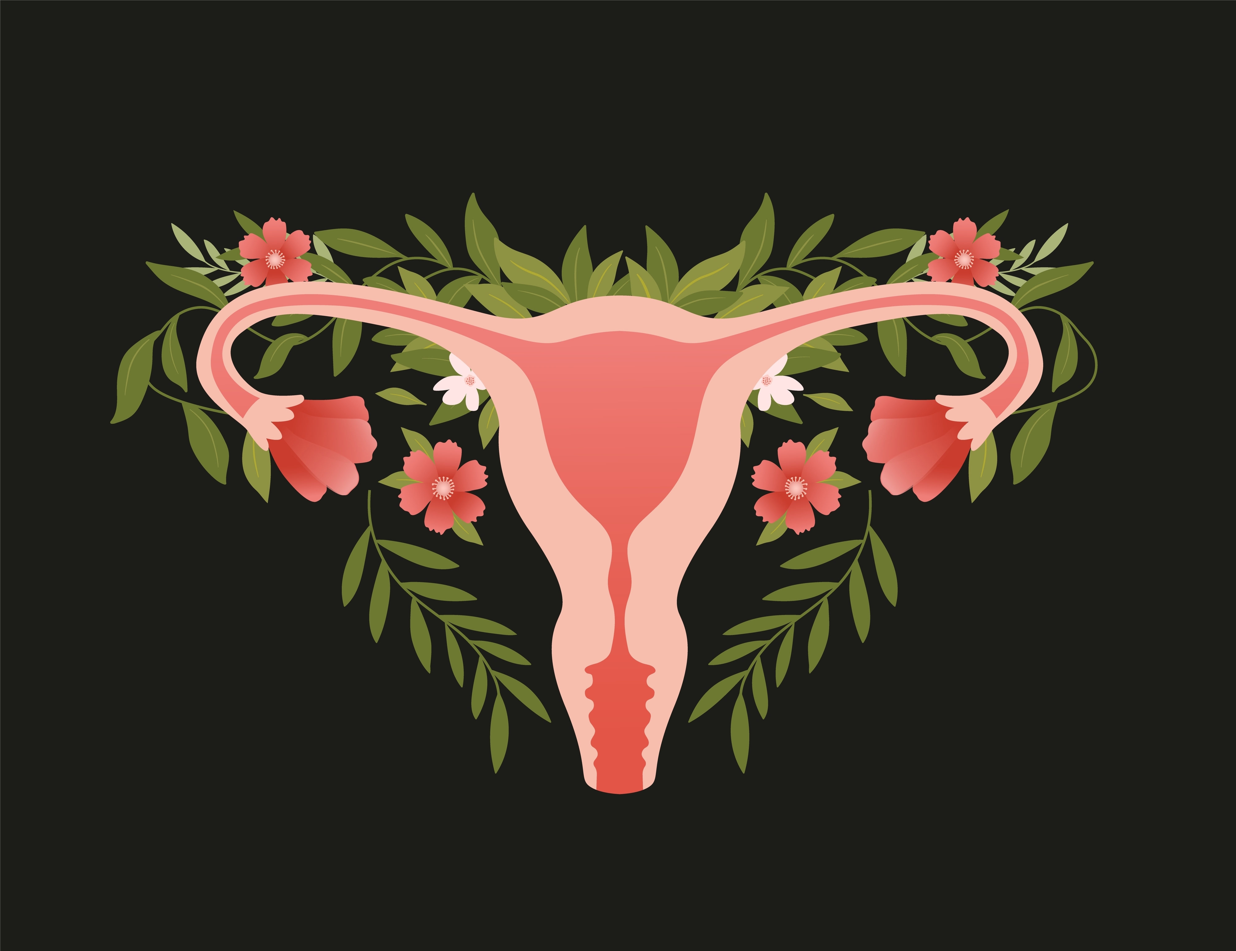 A stylized image of a female reproductive system with leaves around it.